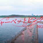 NGT48「シャーベットピンク」 ファンの皆さんを表現した振付