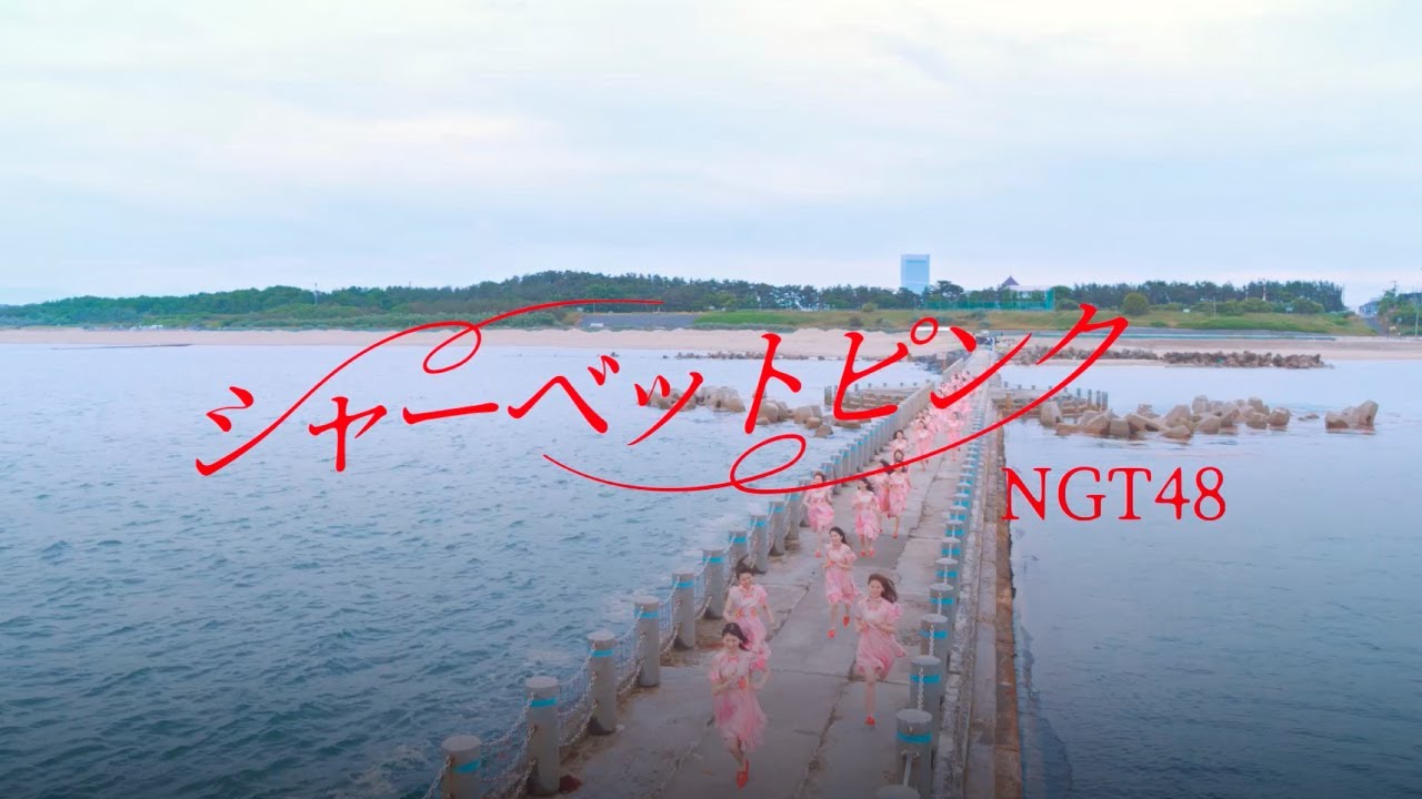 NGT48「シャーベットピンク」 ファンの皆さんを表現した振付